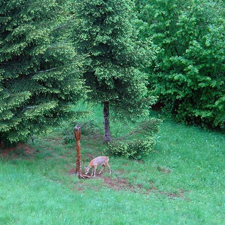 Kod Korita Rooms Crni Lug Dış mekan fotoğraf